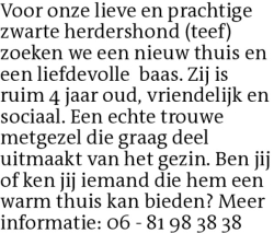 Voorbeeldafbeelding van de advertentie, (Id: 1959809)