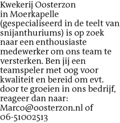 Voorbeeldafbeelding van de advertentie, (Id: 1965026)