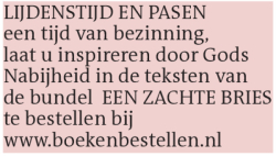 Voorbeeldafbeelding van de advertentie, (Id: 2025513)