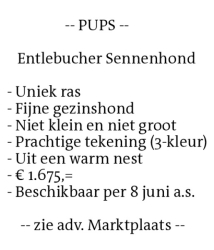 Voorbeeldafbeelding van de advertentie, (Id: 2035082)