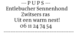 Voorbeeldafbeelding van de advertentie, (Id: 2037990)