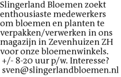 Voorbeeldafbeelding van de advertentie, (Id: 2070520)