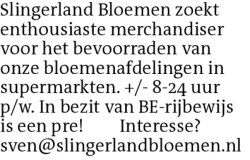 Voorbeeldafbeelding van de advertentie, (Id: 2070522)