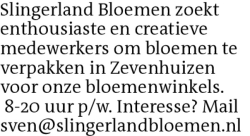 Voorbeeldafbeelding van de advertentie, (Id: 2072032)