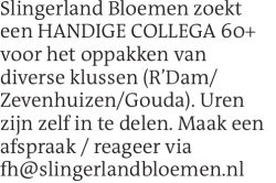 Voorbeeldafbeelding van de advertentie, (Id: 1970145)