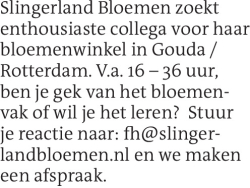 Voorbeeldafbeelding van de advertentie, (Id: 1975747)