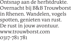Voorbeeldafbeelding van de advertentie, (Id: 1990753)