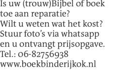 Voorbeeldafbeelding van de advertentie, (Id: 2007997)