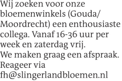 Voorbeeldafbeelding van de advertentie, (Id: 2029170)