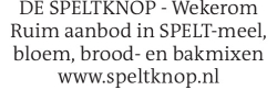 Voorbeeldafbeelding van de advertentie, (Id: 2034901)