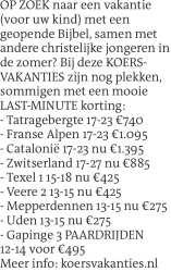 Voorbeeldafbeelding van de advertentie, (Id: 2055899)